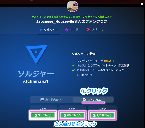 Stripchat̃t@NuɃRCœ菇1