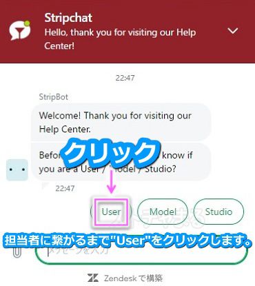 stripchat̃AeBbgŃCu`bgT|[g̎󂯕菇2
